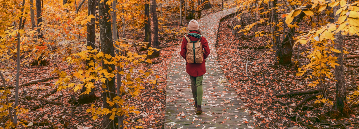 Vrouw maakt een herfstwandeling in het bos